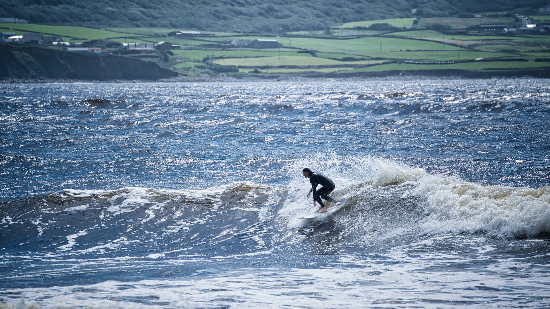 A person in a wetsuit surfs a small wave on a choppy sea with green farmland and scattered houses visible in the background.